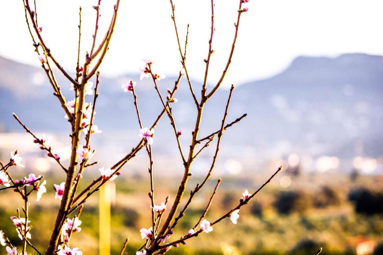 Apartmán Nafplio Topview Exteriér fotografie